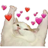 Video sticker 🥰 Created:Hiro Chopg...