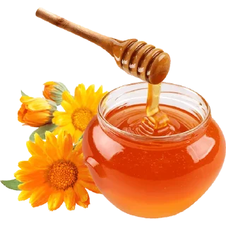 Sticker 🍯 ਸਿਹਤ ਤੇ ਖਾਣ-ਪੀਣ @PunjabISticker