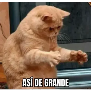 Sticker 😏 Emme te dejó por llorón