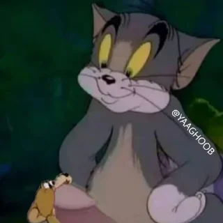 Video sticker 😏 @hmrazkhanoom |بگو همرازخانوم عادت کنی