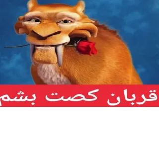 Telegram sticker 🌹 @hmrazkhanoom |بگو همرازخانوم عادت کنی