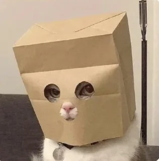 Video sticker 😶 Giggles 'n Grins by @RobbieWan