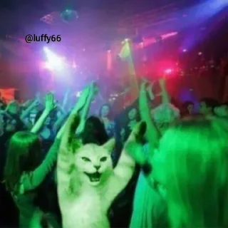 Video sticker 🥳 الـظبــي🧚. | @baas27