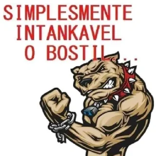 Video sticker 🤬 Eu tô louco?