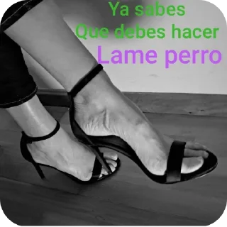 Telegram sticker 🌟 Stickers de humillación :: @fStikBot