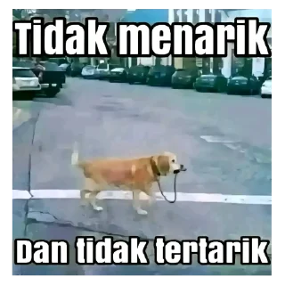 Video sticker 😁 Wong liyo ngerti opo : @SoraNox