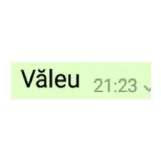 Video sticker ℹ️ [ᴀʟᴛᴇʟᴇ]