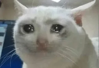 Video sticker 🌟 Stickers by Atsuyo :: @fStikBot