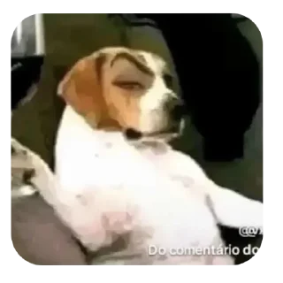 Video sticker 🍽 Tiktok core 1