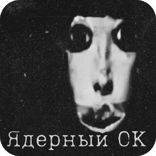 Video sticker 👌 Котики от Река @Rek_Tens