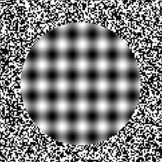 Telegram sticker 🧐 Optical illusions @PunjabiSticker