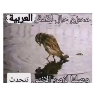 Telegram sticker 🫥 Khaled