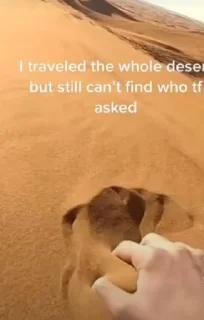 Telegram sticker 🦶 @AniPackBot استیکرساز😍