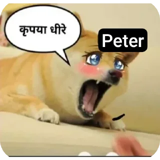 Telegram sticker 😐 ARUN+PETER=PETE
