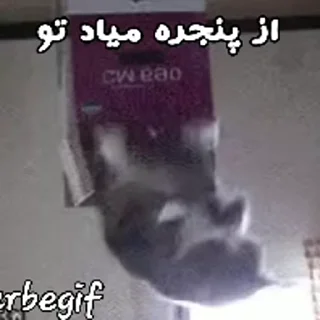 Video sticker 🔼 @slp_dokhtari | سلپ ۱