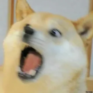 Telegram sticker 🐶 🐶Doge.  @Anime_Sticker_noob