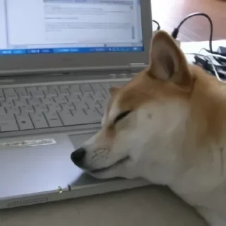 Sticker 🐶 🐶Doge.  @Anime_Sticker_noob