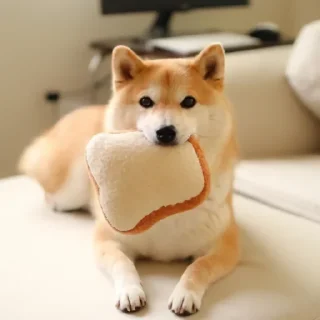 Video sticker 🐶 🐶Doge.  @Anime_Sticker_noob