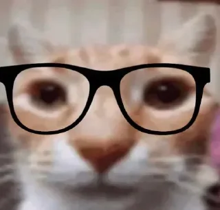 Telegram sticker 🤓 pta ni Kon hai[dead]'s kang pack vol 0