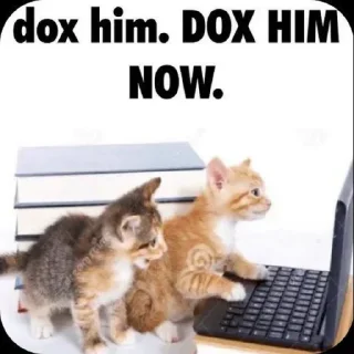 Telegram sticker 🙃 pta ni Kon hai[dead]'s kang pack vol 0