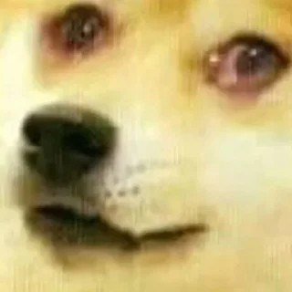 Video sticker 😢 @GDriveIt