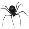 Sticker 🕷 ᦔꫀꪖ𝓽ꫝ @lolkekkxd