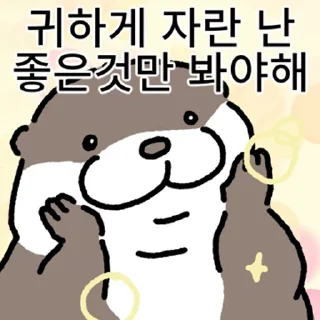 Video sticker ⭐ 수달 확대 5 @manbull_sticker_bot