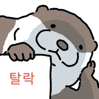 Video sticker ⭐ 수달 확대 5 @manbull_sticker_bot