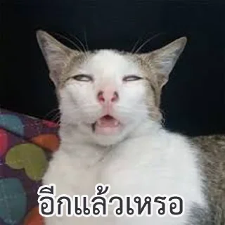 Telegram stiker 😠 168168168