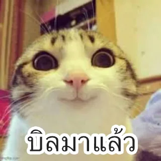 Sticker 😌 168168168