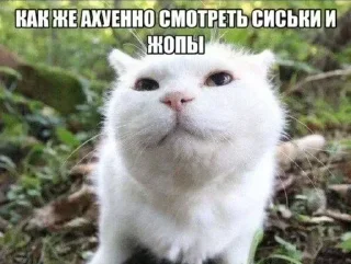 Telegram sticker 🌟 да я ворую и что ты мне сделаешь я в другом городе