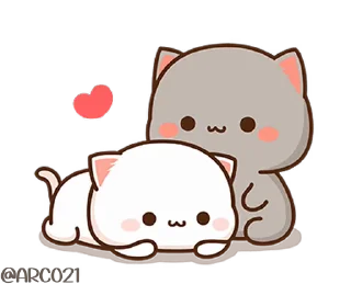 Video sticker 😽 Meawtyy