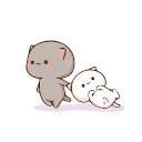 Video sticker 😏 Meawtyy