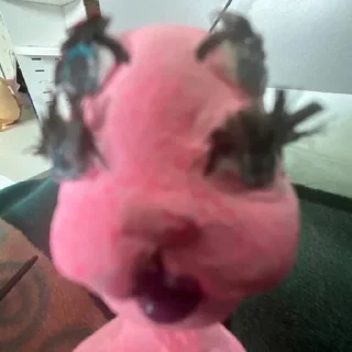 Video sticker 🕳 милка с молоком