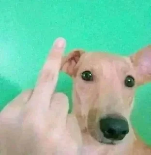 Sticker 🖕 Simón José Antonio de la Santísima Trinidad Bolíva Steal Pack 2
