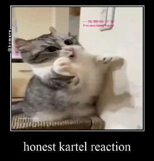 Video sticker 🤩 Kartel @TgEmodziBot