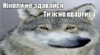 Sticker ☝️ Реакції на всі випадки життя