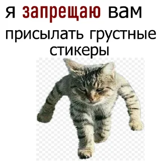 Video sticker 😡 служба всратой поддержки
