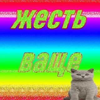 Video sticker 😳 служба всратой поддержки