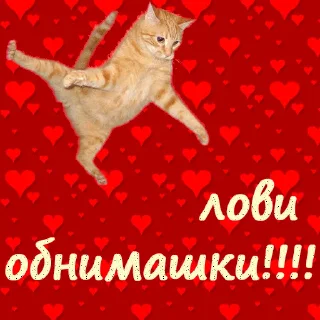 Telegram sticker 🤗 служба всратой поддержки