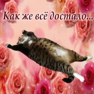 Telegram sticker 😩 служба всратой поддержки