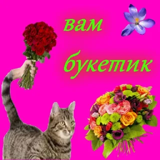 Telegram sticker 💐 служба всратой поддержки
