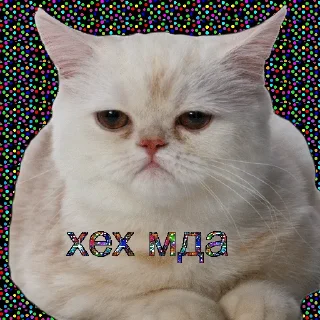 Telegram sticker 😪 служба всратой поддержки