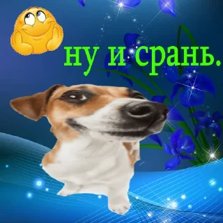 Telegram sticker 😎 служба всратой поддержки