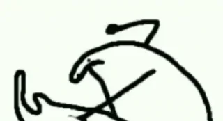 Video sticker ✏ بطريق🐧   @Y_f2p