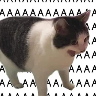 Telegram sticker 🤪 Спасем Российское образование