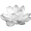 Video sticker 🪷 𝙥𝙧𝙞𝙨�...