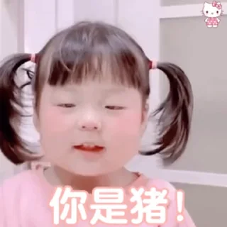 Video sticker 🐷 pipi发财