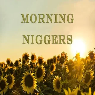 Video sticker 🌞 IMOK's racist pack