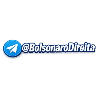 Video sticker 🌌 Marcas d'água 🇧🇷 @BolsonaroDireita